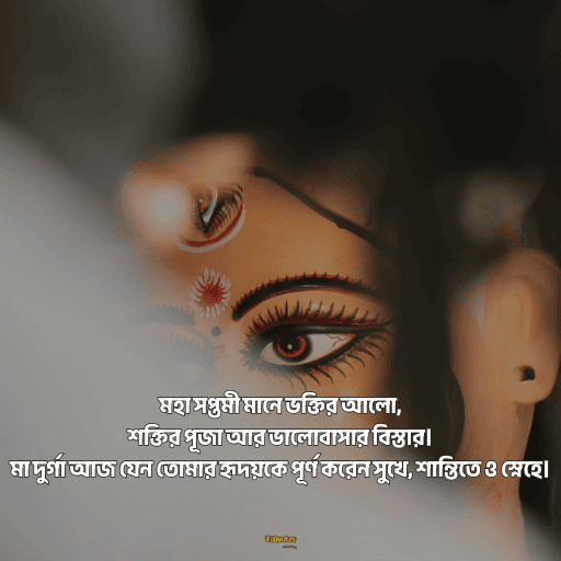 মহা সপ্তমীর শুভেচ্ছা 8