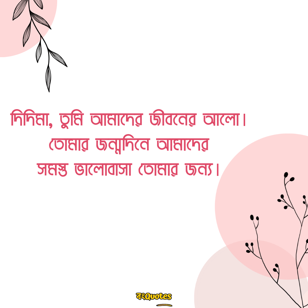 শুভ জন্মদিনের শুভেচ্ছা বার্তা ঠাকুমা ও দিদা কে 19