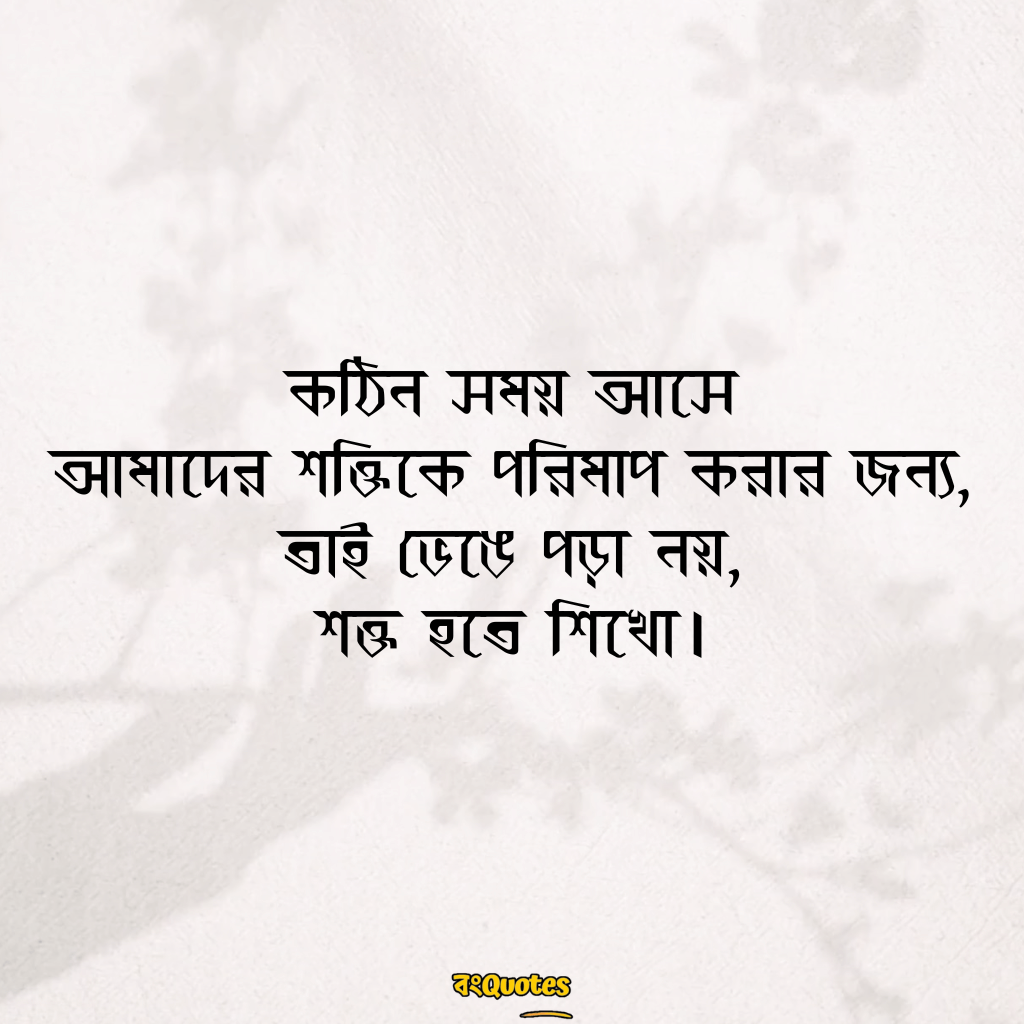 ফেসবুক ক্যাপশন বাংলা 23