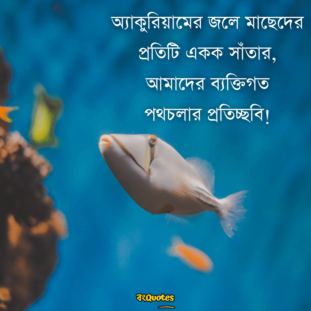 মাছ ও একুরিয়াম নিয়ে সেরা উক্তি 6