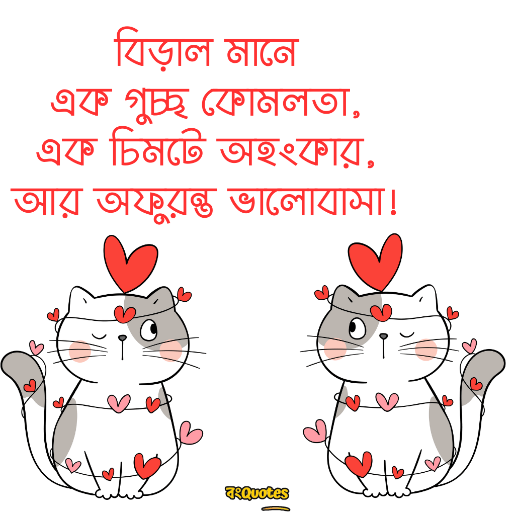 বিড়াল নিয়ে উক্তি 12