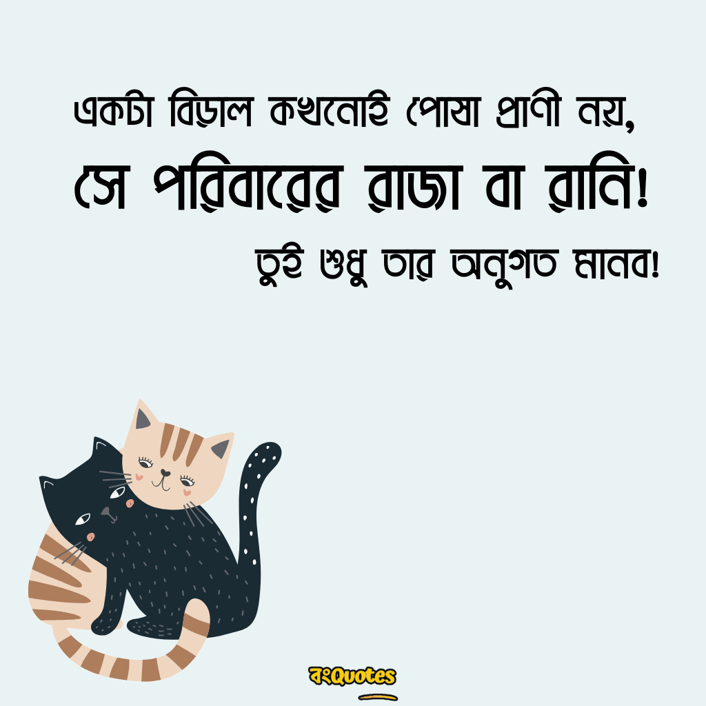 বিড়াল নিয়ে উক্তি 16