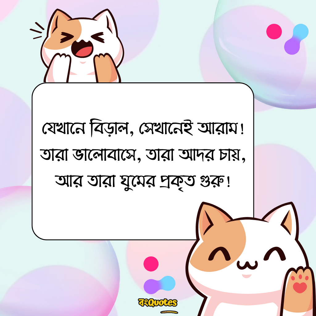 বিড়াল নিয়ে উক্তি 18