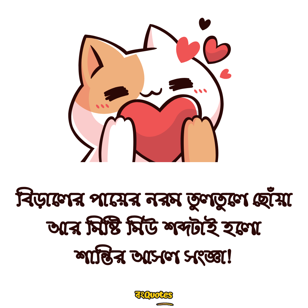 বিড়াল নিয়ে উক্তি 4