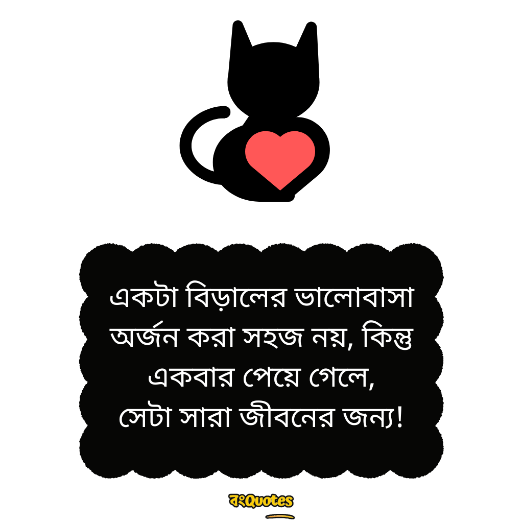 বিড়াল নিয়ে উক্তি 5