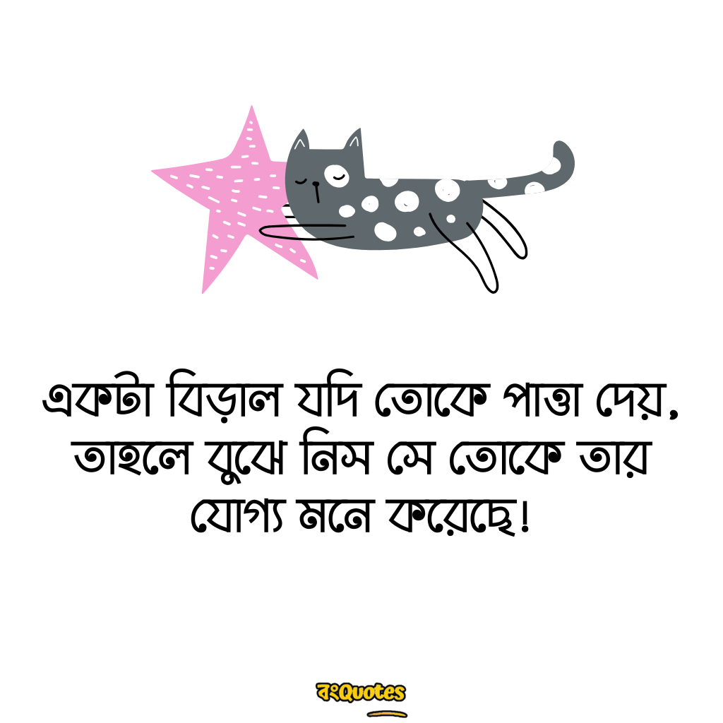 বিড়াল নিয়ে উক্তি 7