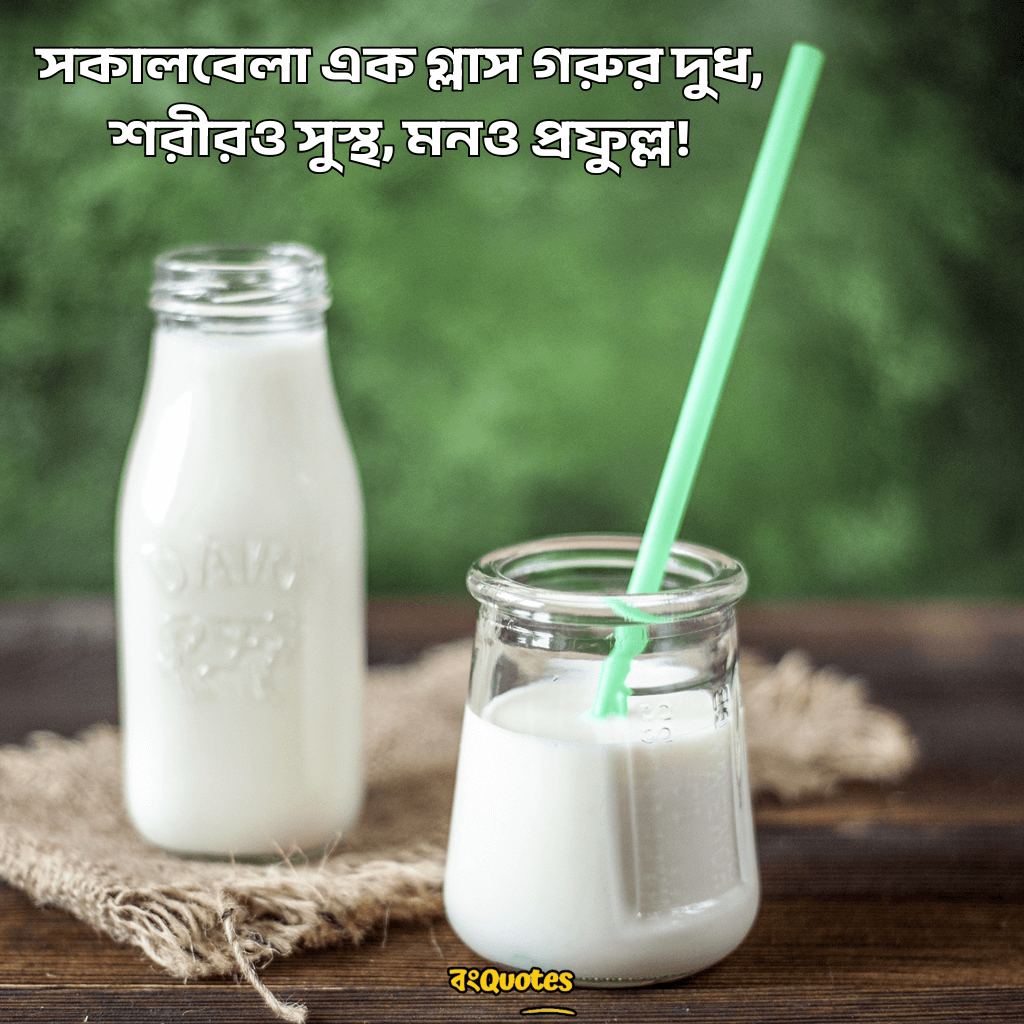 গরু নিয়ে সেরা উক্তি 13