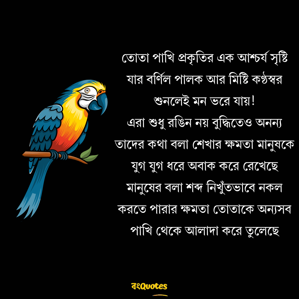 তোতা পাখি  নিয়ে উক্তি 1