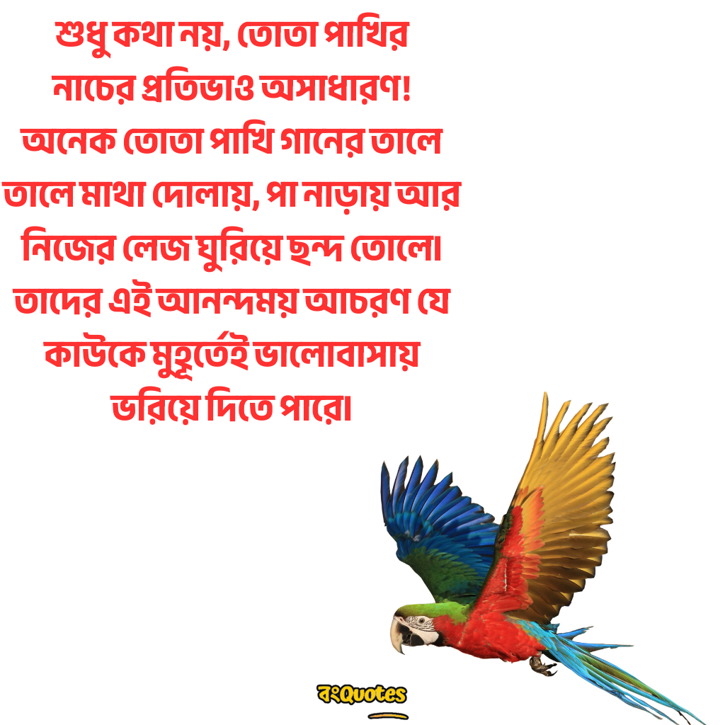 তোতা পাখি  নিয়ে উক্তি 12