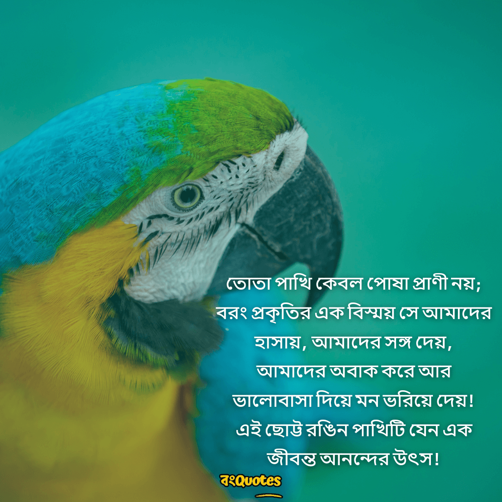 তোতা পাখি  নিয়ে উক্তি 17