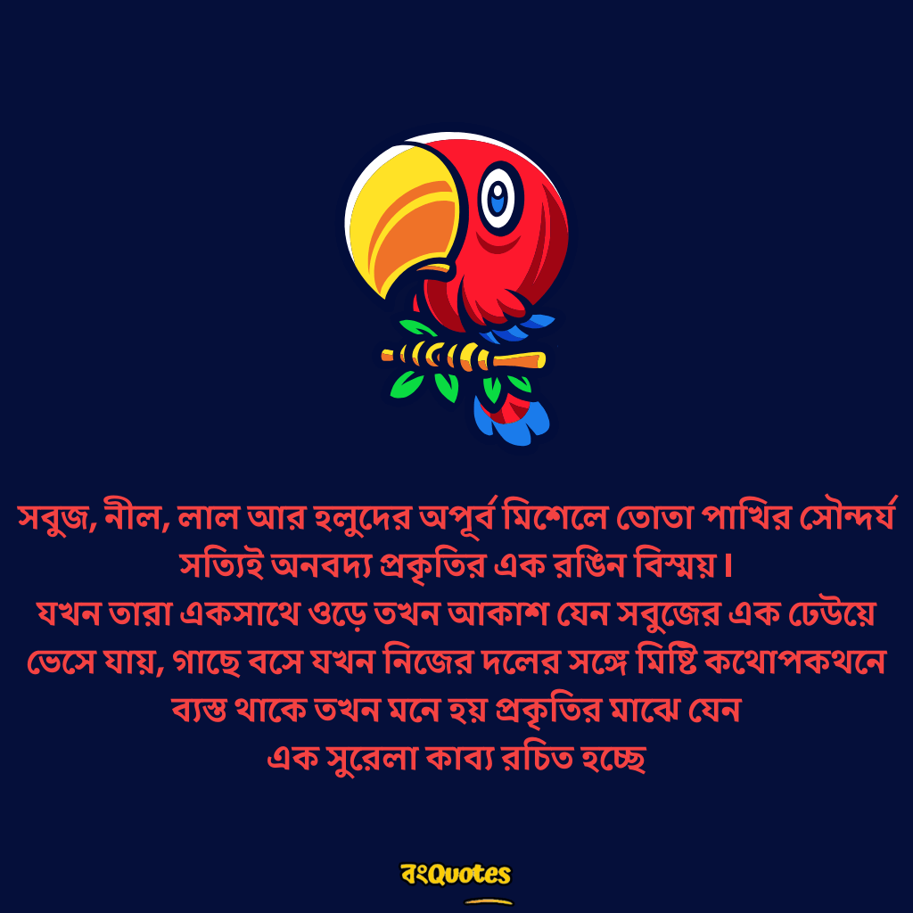 তোতা পাখি  নিয়ে উক্তি2