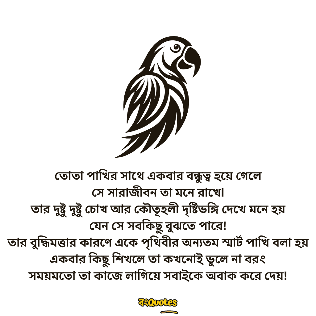 তোতা পাখি  নিয়ে উক্তি3