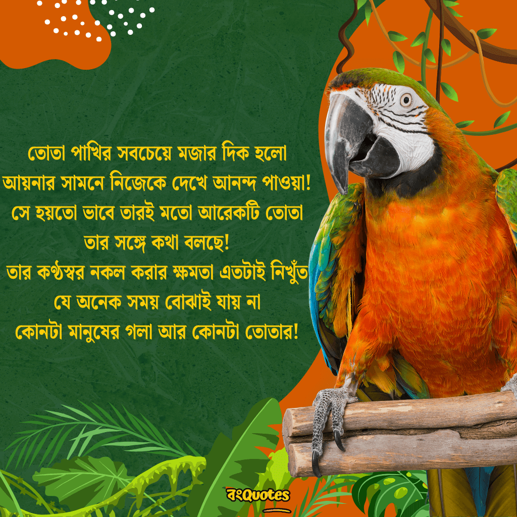 তোতা পাখি  নিয়ে উক্তি 6