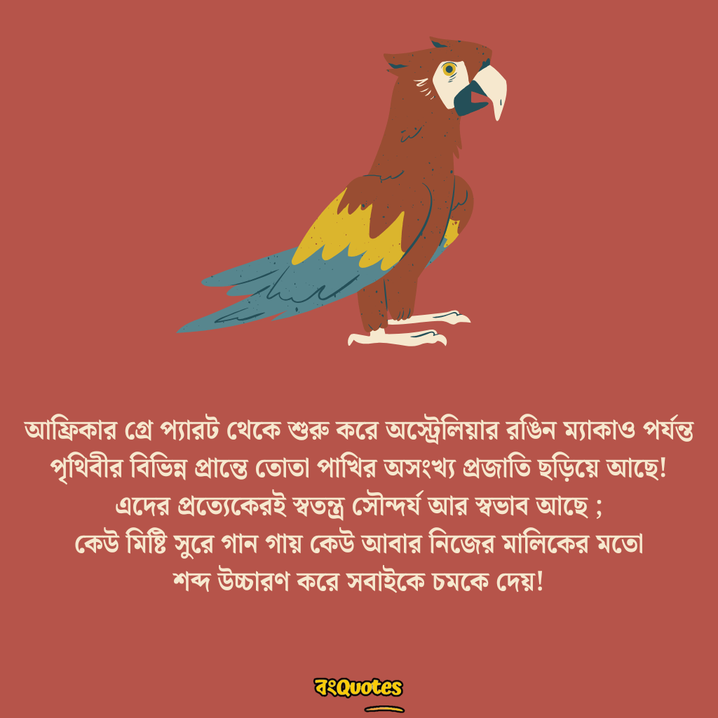 তোতা পাখি  নিয়ে উক্তি 5