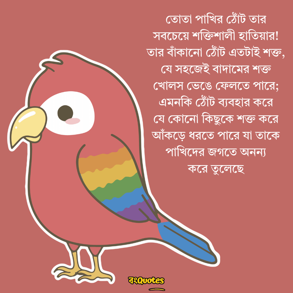 তোতা পাখি  নিয়ে উক্তি 7