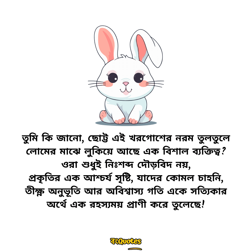 খরগোশ  নিয়ে উক্তি 1