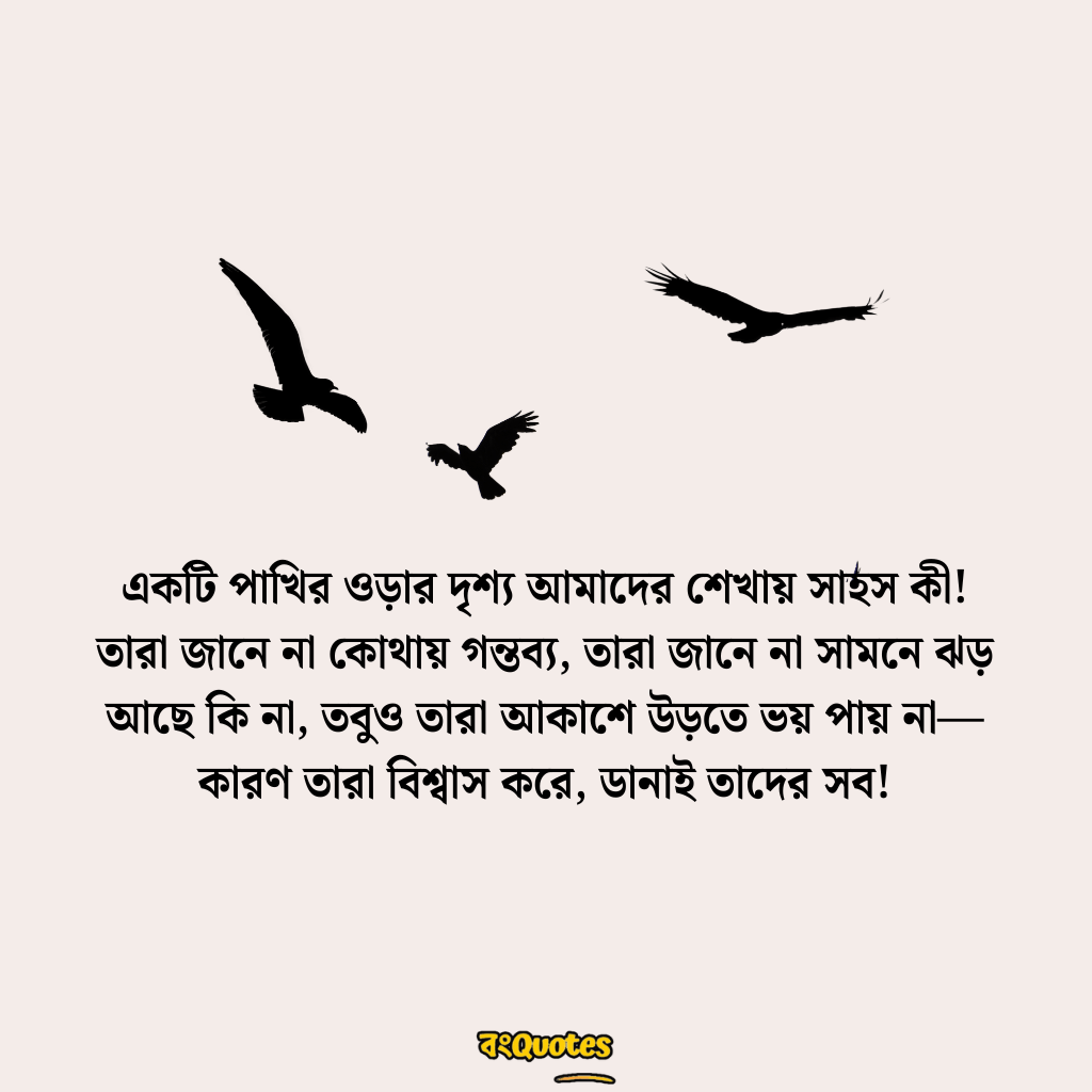 পাখি নিয়ে সেরা ক্যাপশন 5