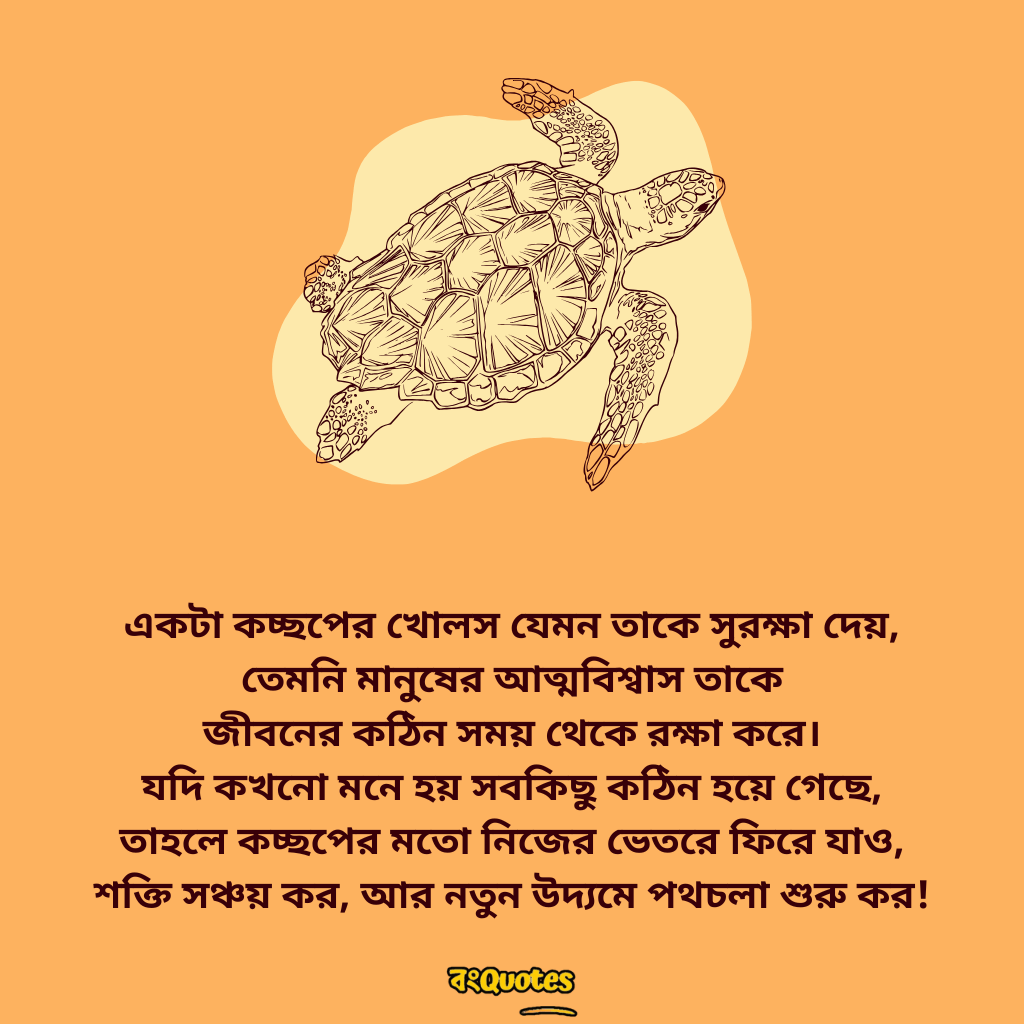 কচ্ছপ নিয়ে সেরা ক্যাপশন 4