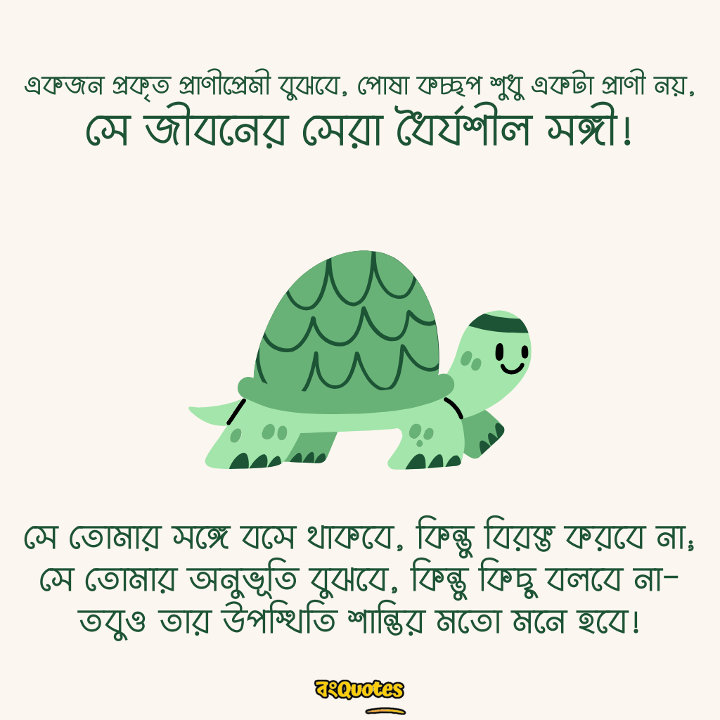 কচ্ছপ নিয়ে সেরা ক্যাপশন 9