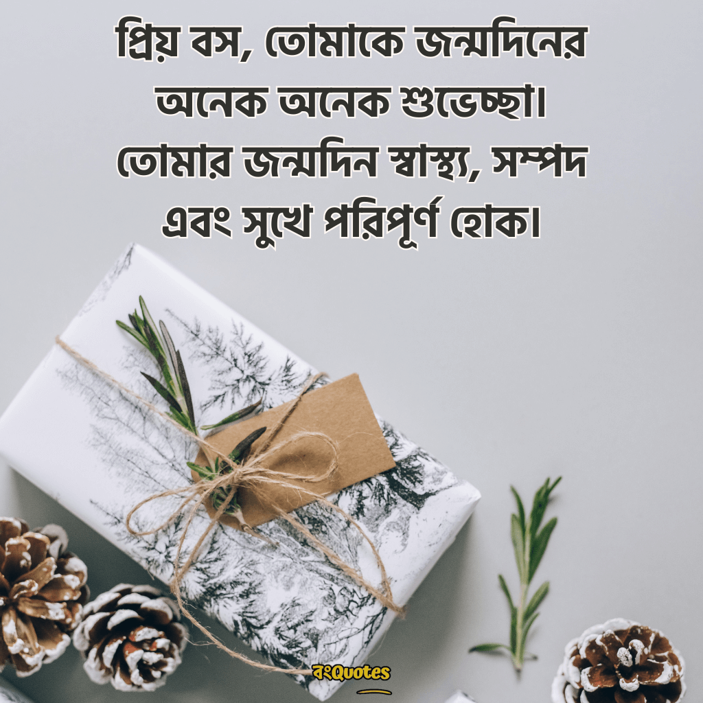 বসের জন্মদিনের শুভেচ্ছা 1