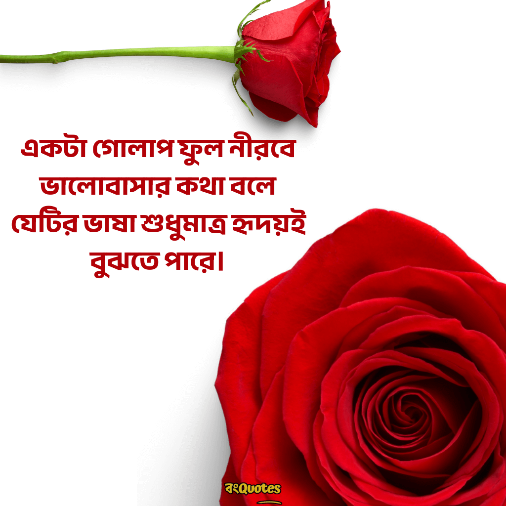 ফুল নিয়ে বাংলা উক্তি 10