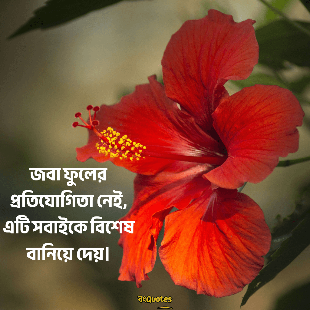 ফুল নিয়ে বাংলা উক্তি 13