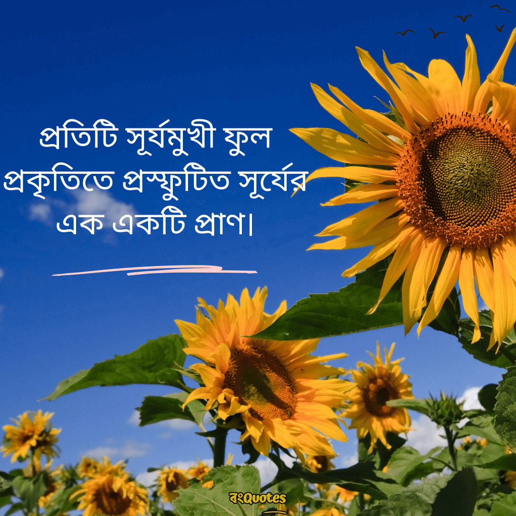 ফুল নিয়ে বাংলা উক্তি 15