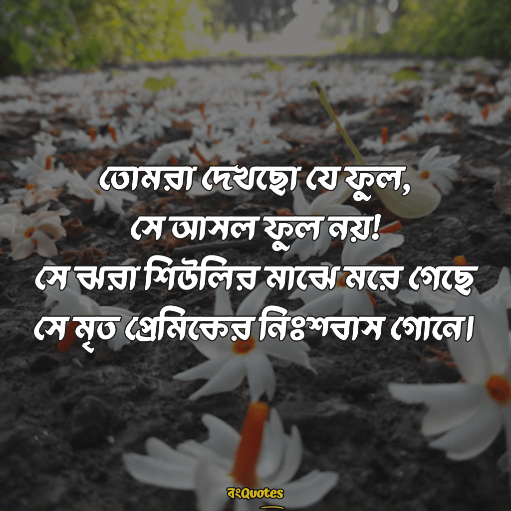 ফুল নিয়ে বাংলা উক্তি 16