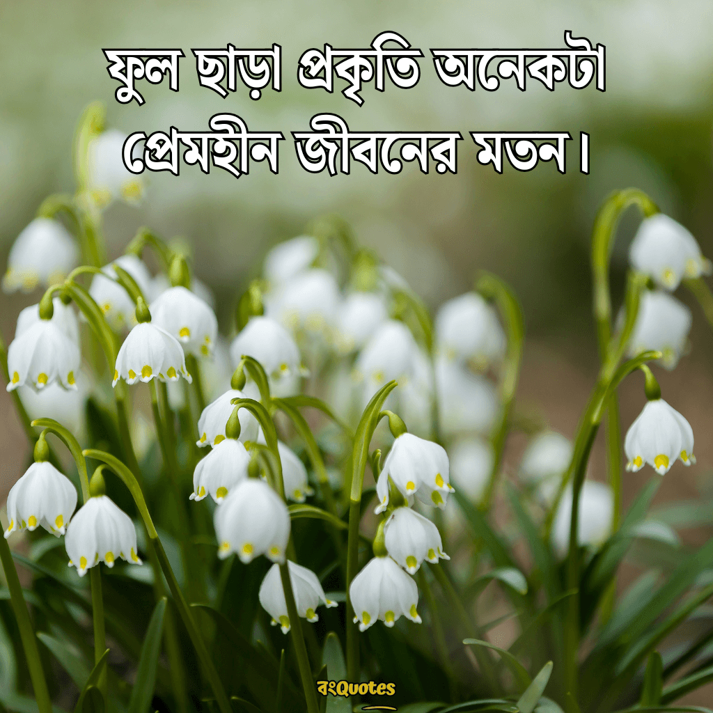 ফুল নিয়ে বাংলা উক্তি 7