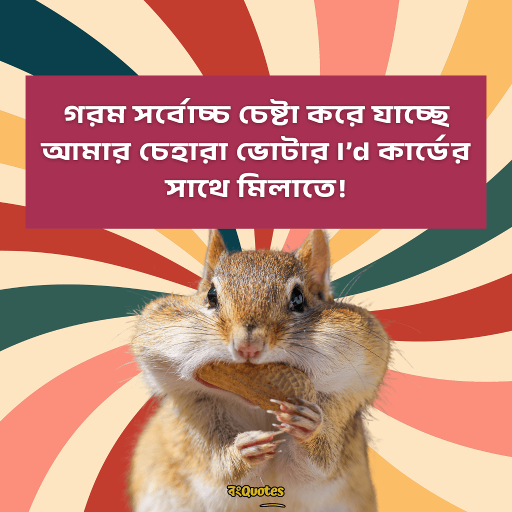 ফেসবুক ফানি পোস্ট বাংলা 12