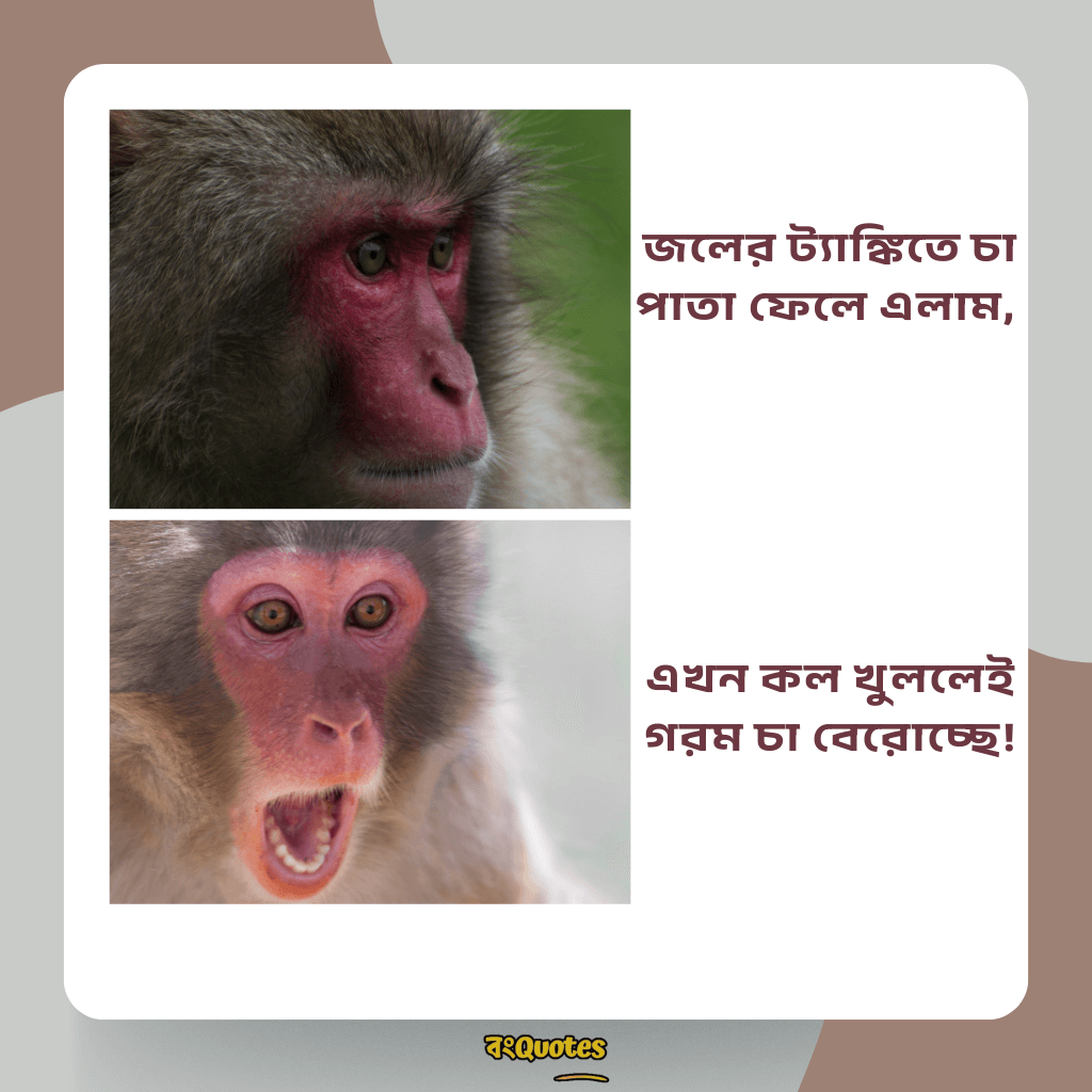 ফেসবুক ফানি পোস্ট বাংলা 13