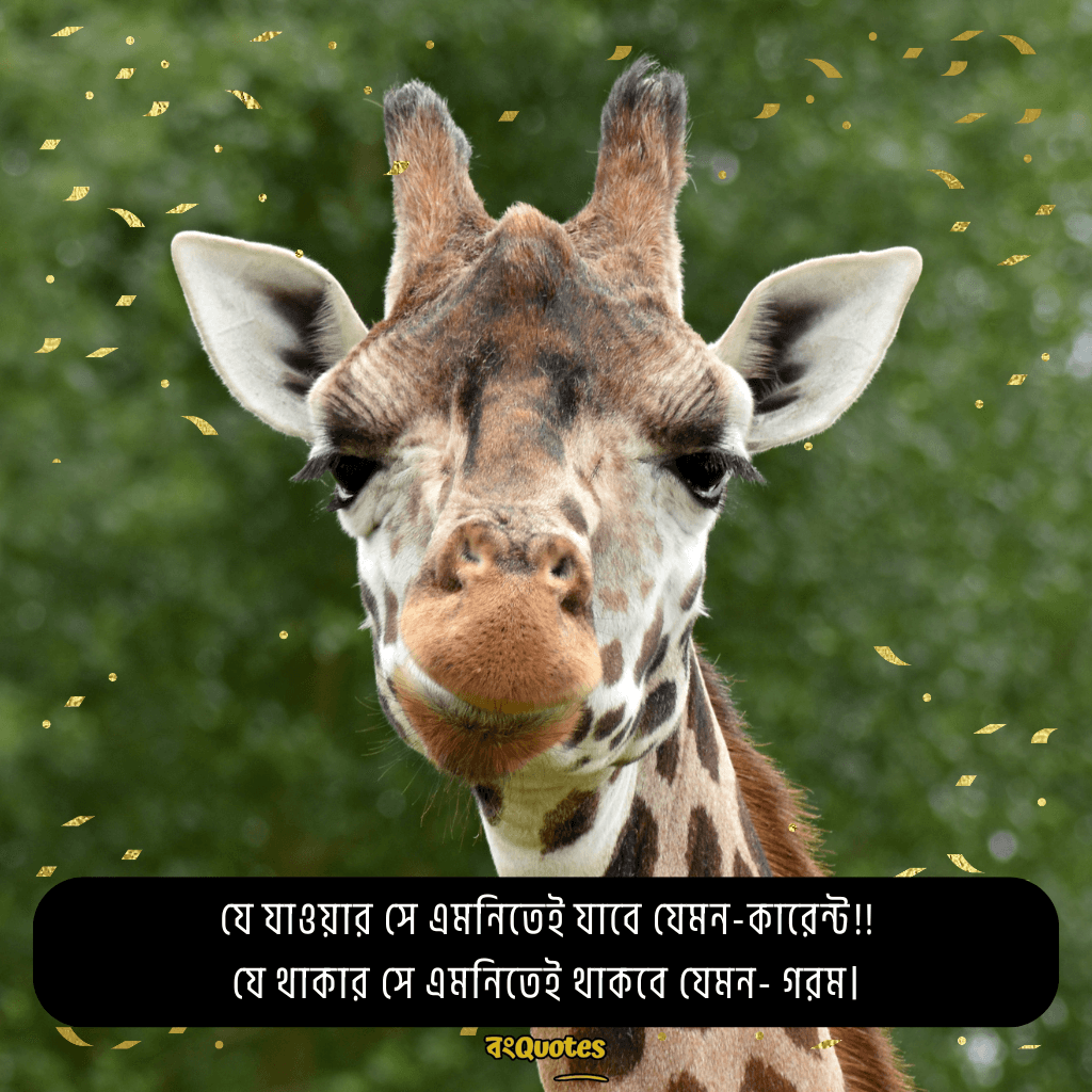 ফেসবুক ফানি পোস্ট বাংলা 14