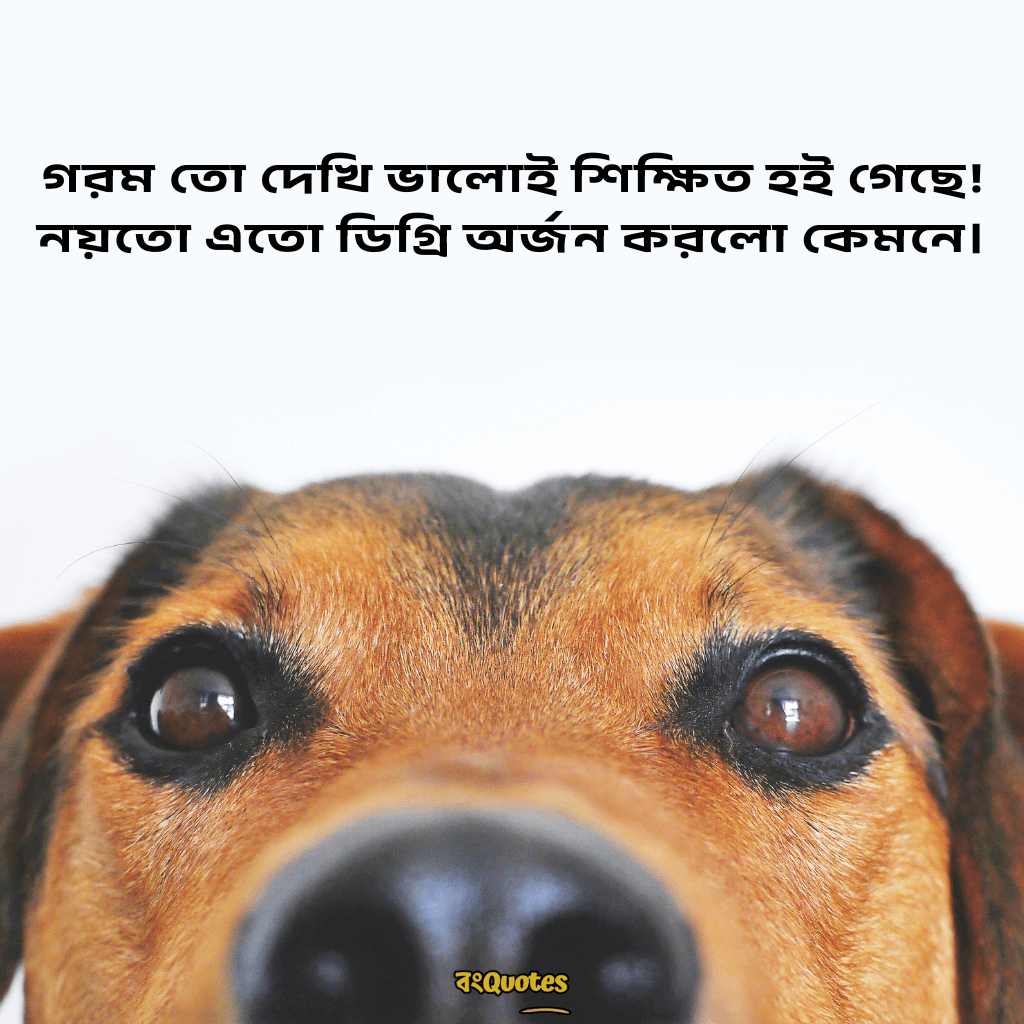 ফেসবুক ফানি পোস্ট বাংলা 15