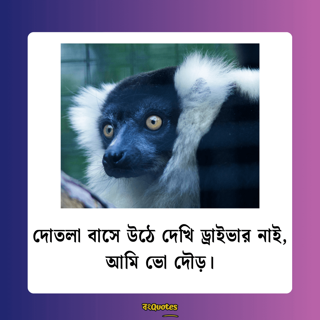 ফেসবুক ফানি পোস্ট বাংলা 5