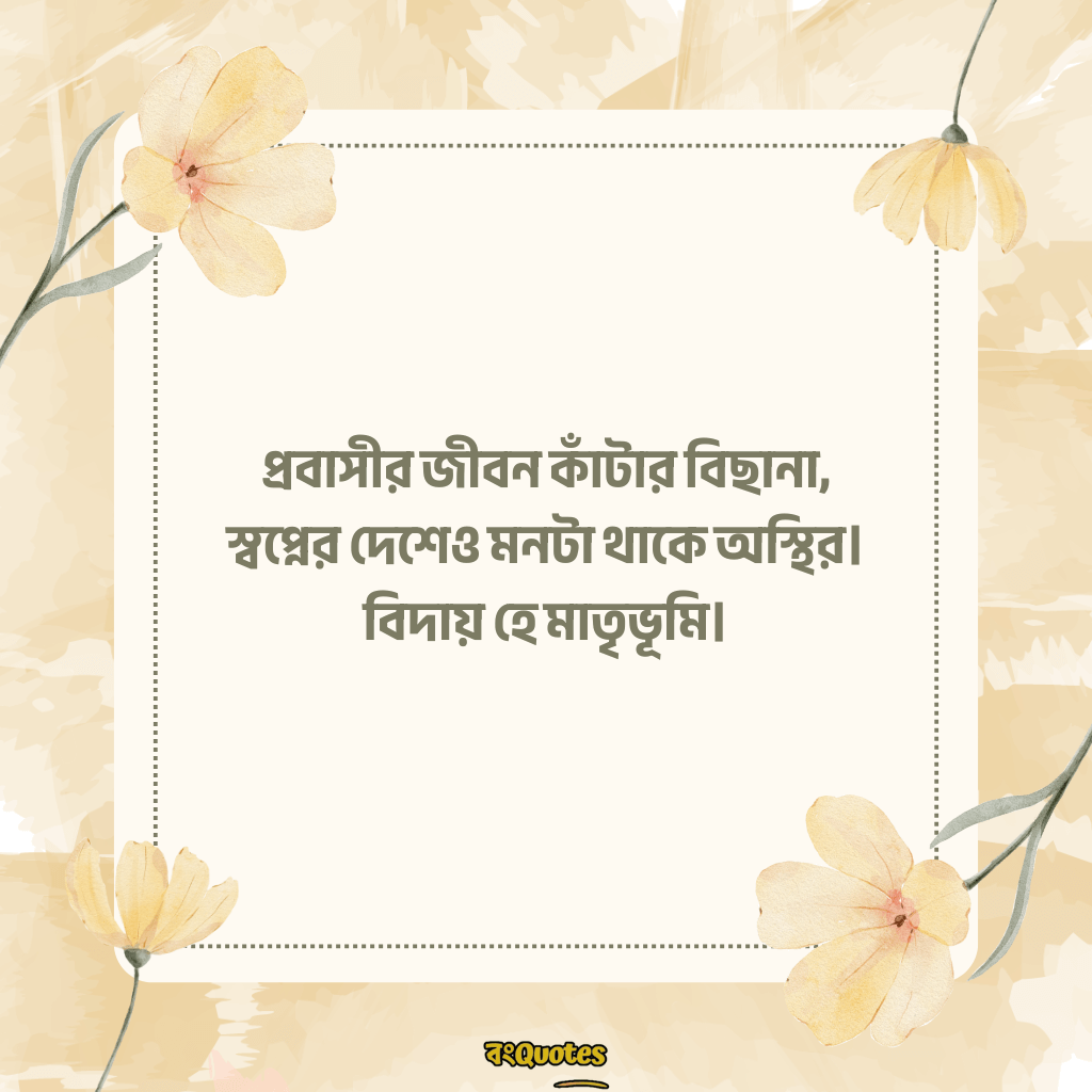 বিদেশ যাওয়ার ক্যাপশন 10