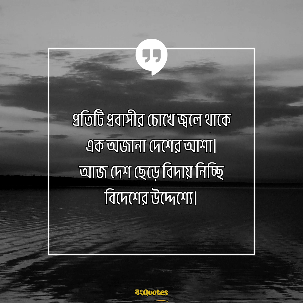 বিদেশ যাওয়ার ক্যাপশন 11