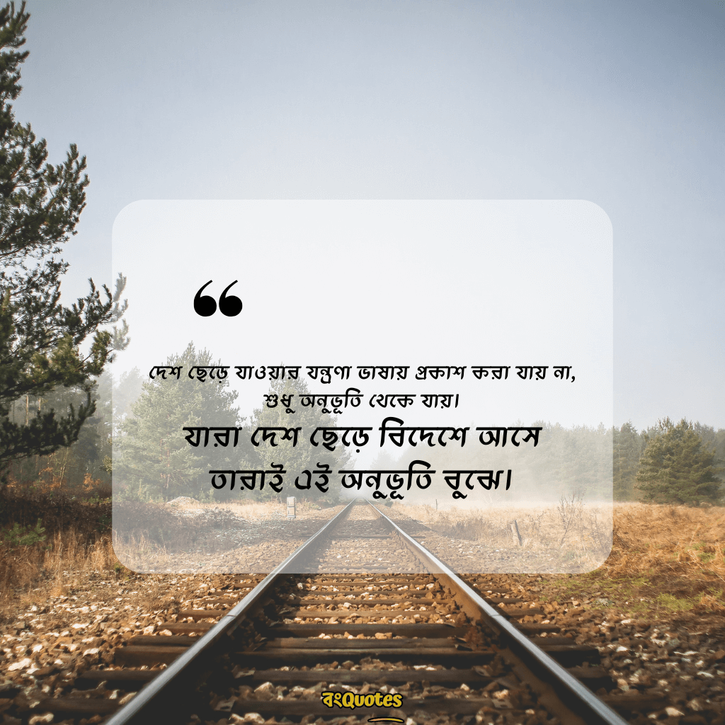 বিদেশ যাওয়ার ক্যাপশন 12