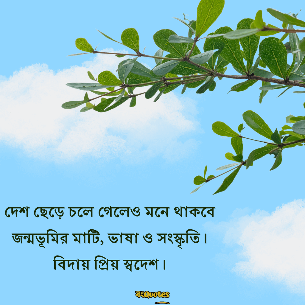 বিদেশ যাওয়ার ক্যাপশন 13
