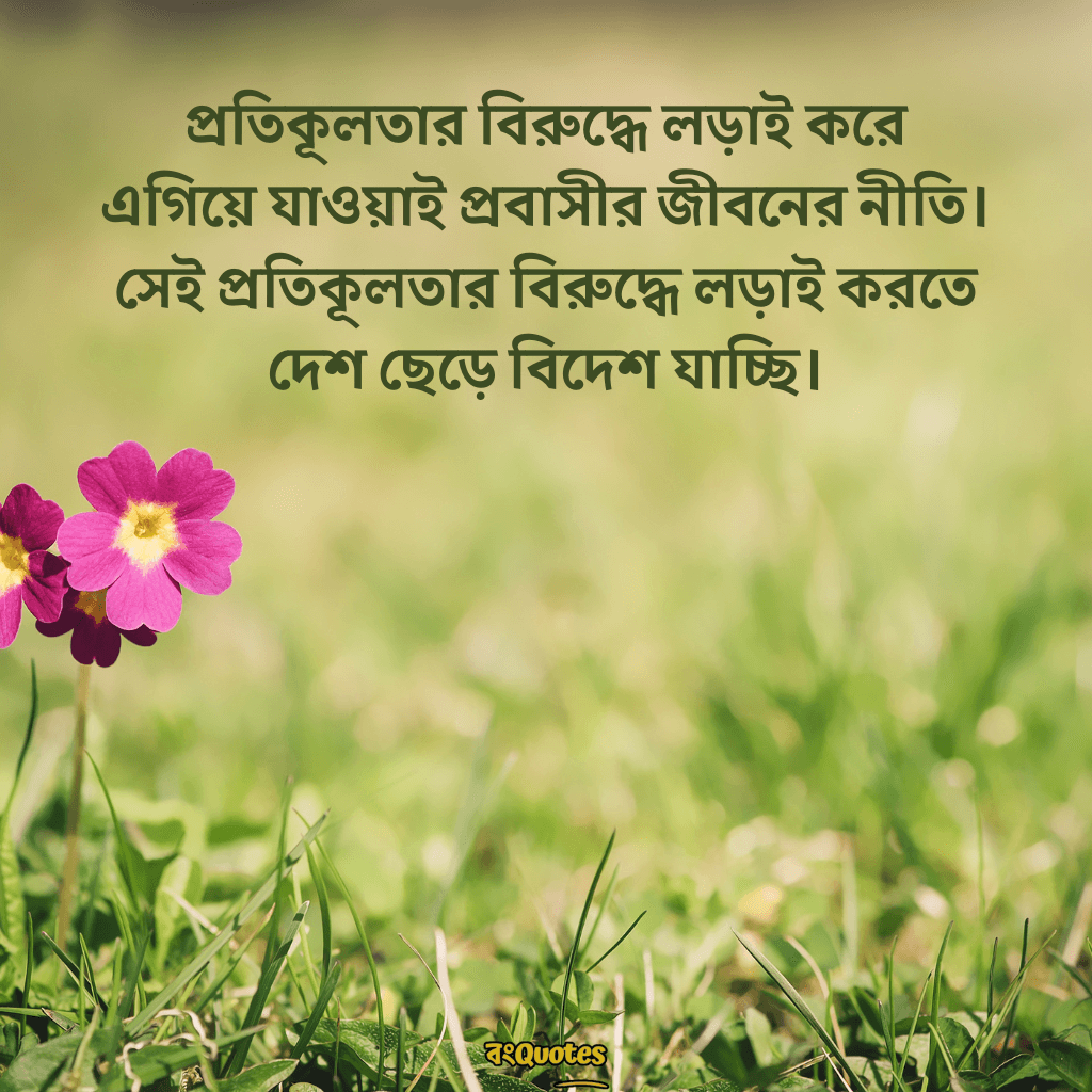 বিদেশ যাওয়ার ক্যাপশন 14