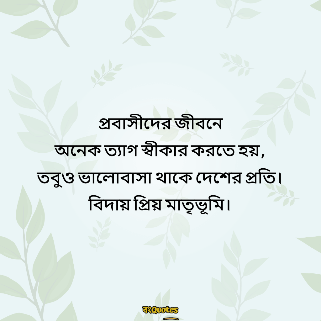 বিদেশ যাওয়ার ক্যাপশন 15