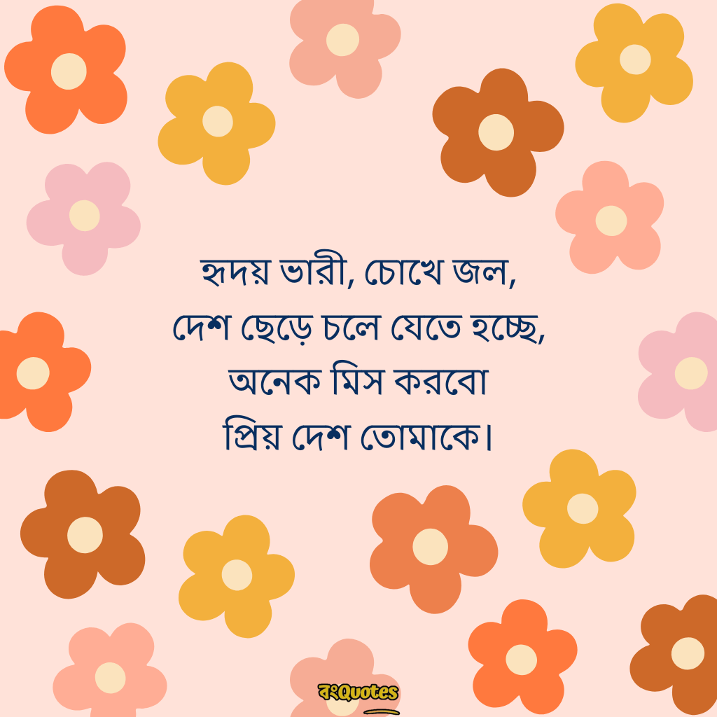 বিদেশ যাওয়ার ক্যাপশন 2