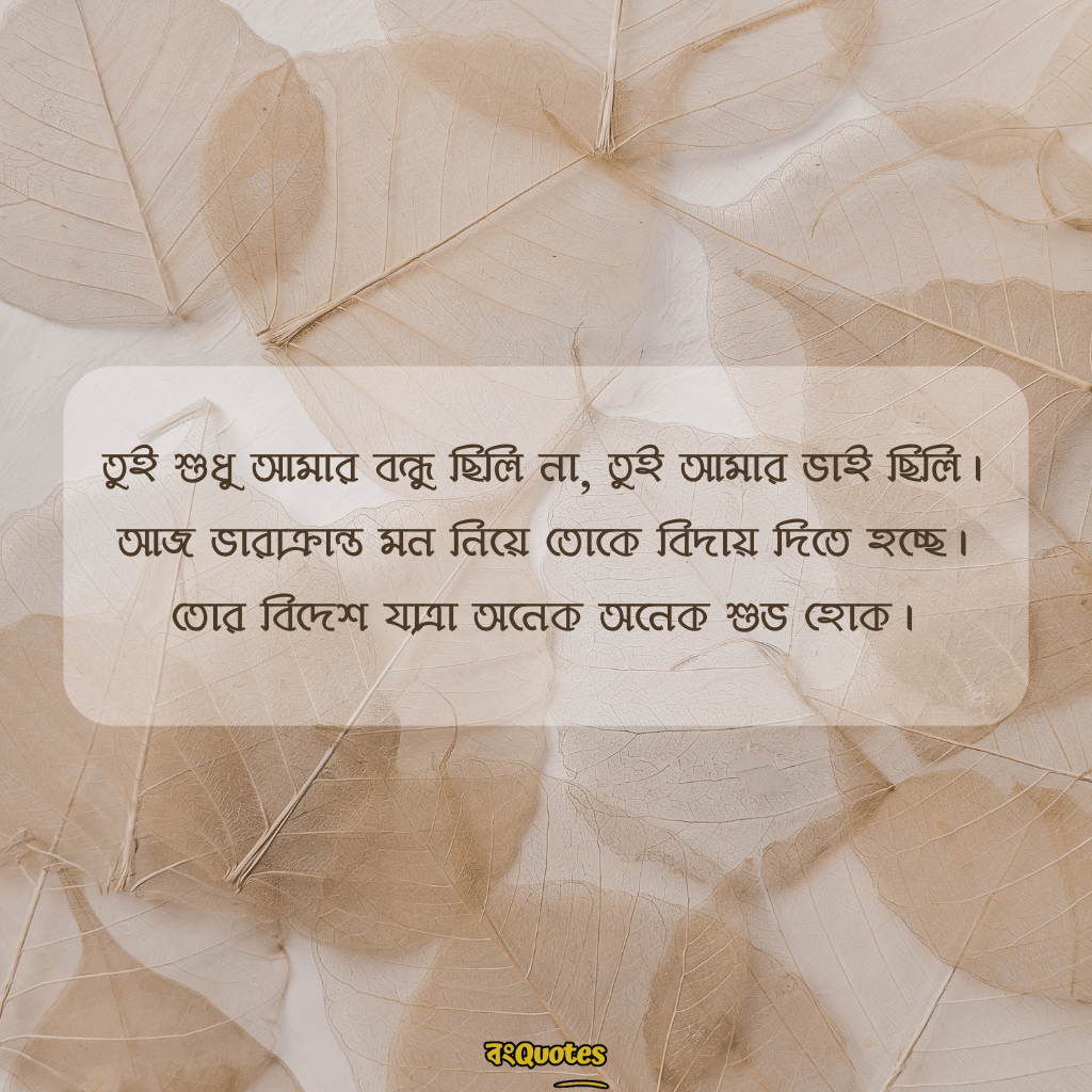 বিদেশ যাওয়ার ক্যাপশন 19