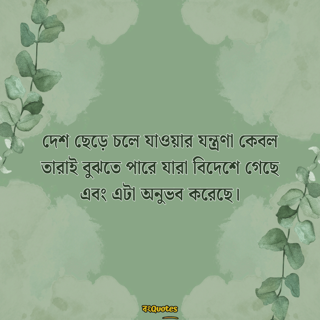 বিদেশ যাওয়ার ক্যাপশন 4