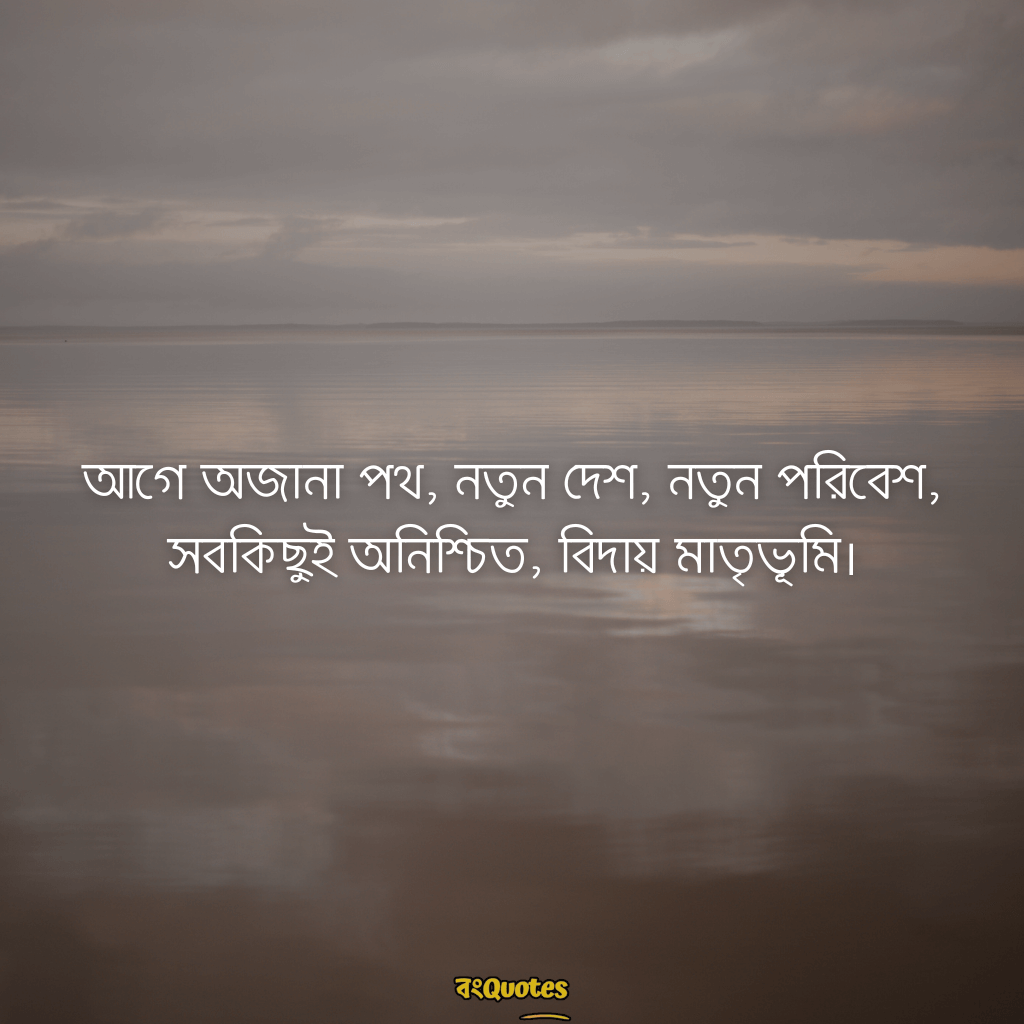 বিদেশ যাওয়ার ক্যাপশন 7