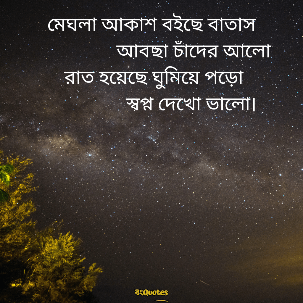 শুভ রাত্রি রোমান্টিক ক্যাপশন 1