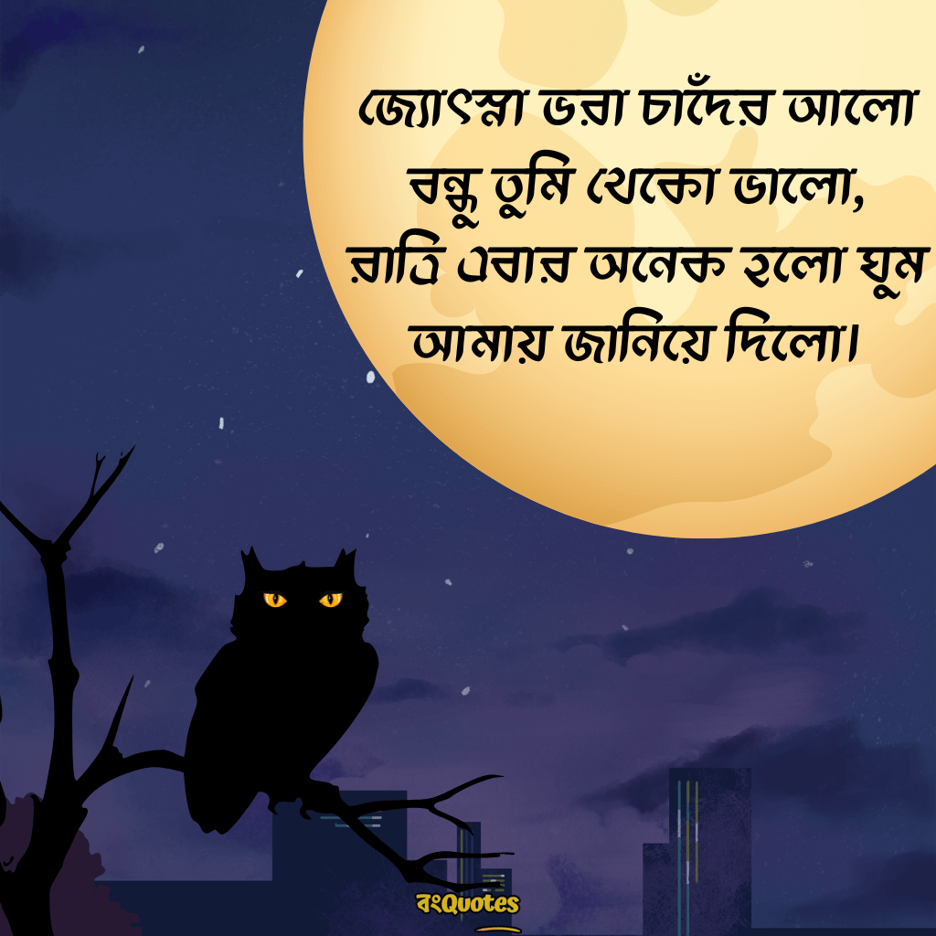 শুভ রাত্রি রোমান্টিক ক্যাপশন 11