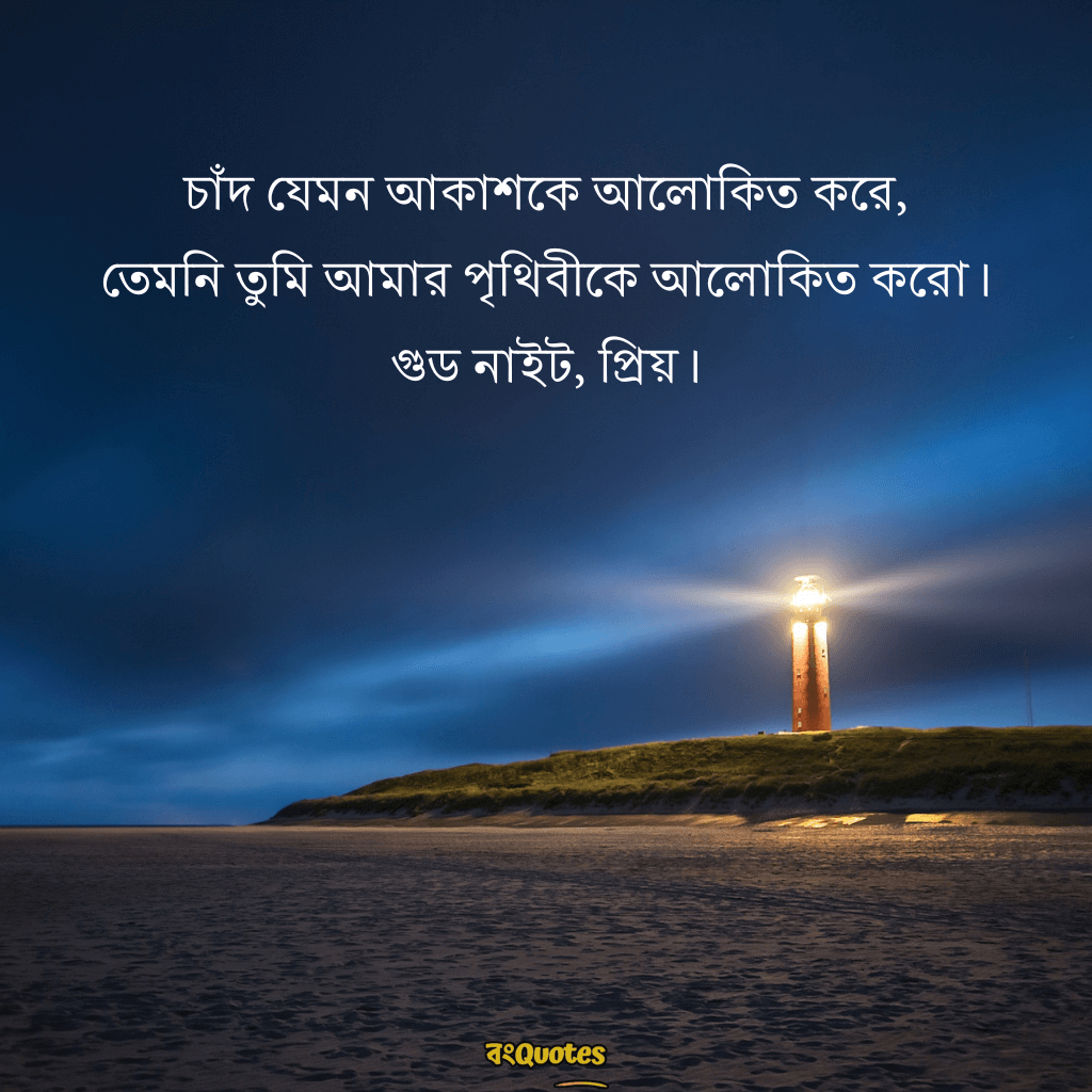 শুভ রাত্রি রোমান্টিক ক্যাপশন 13