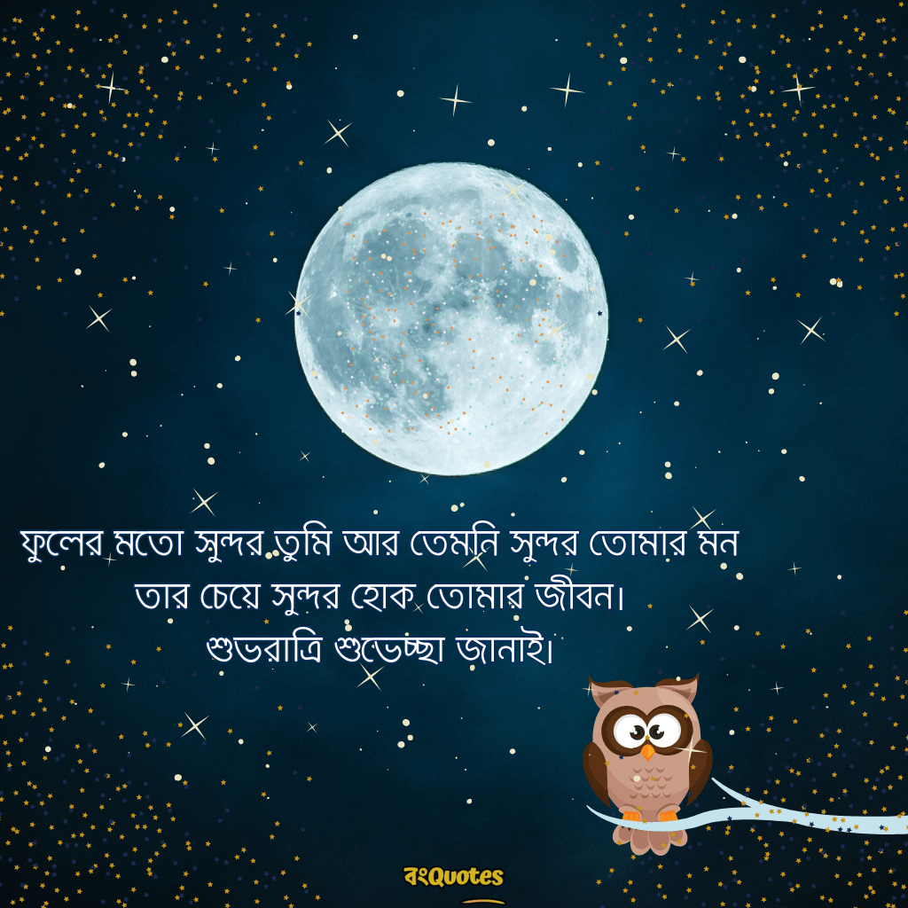 শুভ রাত্রি রোমান্টিক ক্যাপশন 6