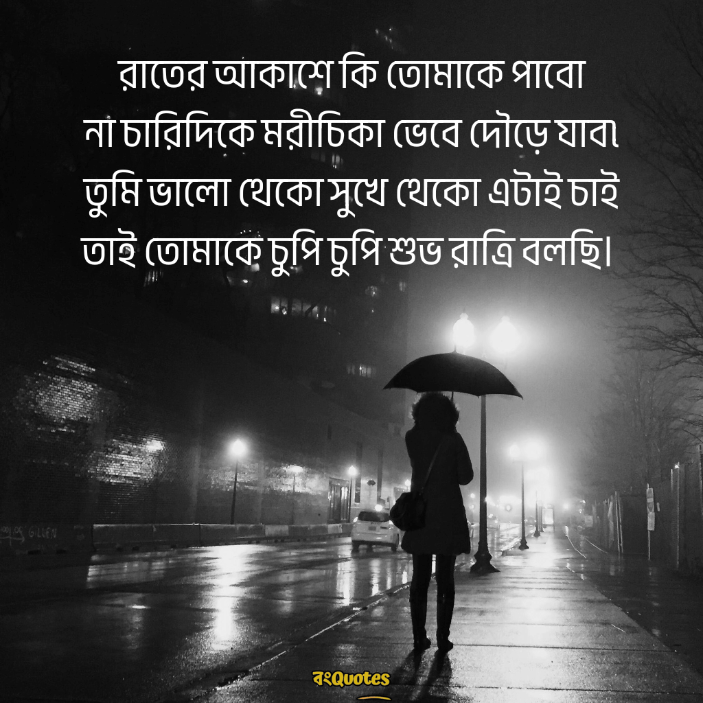 শুভ রাত্রি রোমান্টিক ক্যাপশন 9