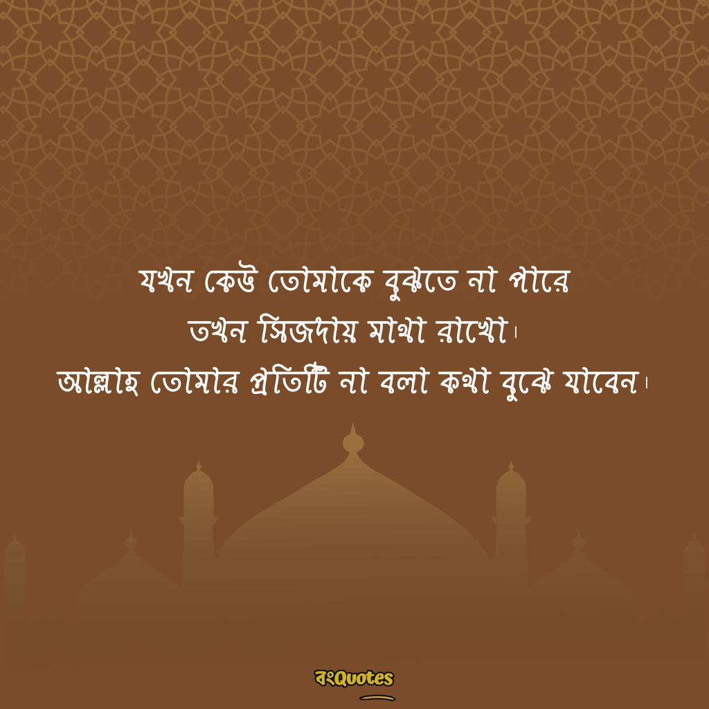 ইসলামিক স্ট্যাটাস 14
